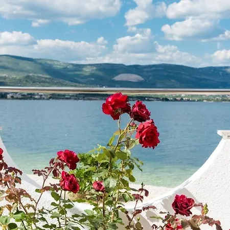 Apartment In Arbanija With Sea View, Balcony, Air Conditioning, Wifi 5138-1